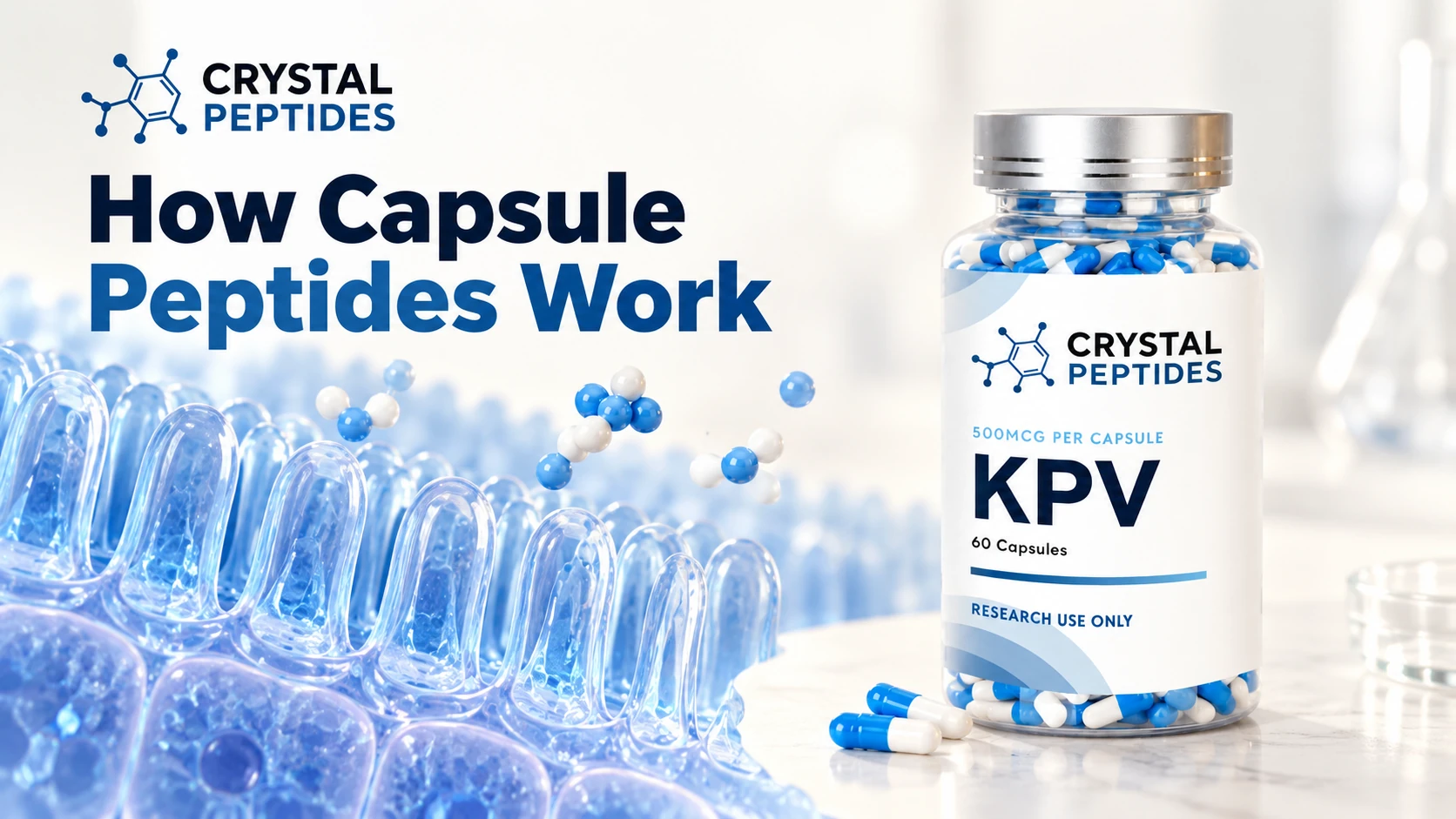 Crystal Peptides KPV-kapszulákat tartalmazó flakon a bélfelszín sematikus ábrája mellett.